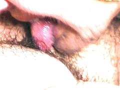 Hairy old lady fucking and licking